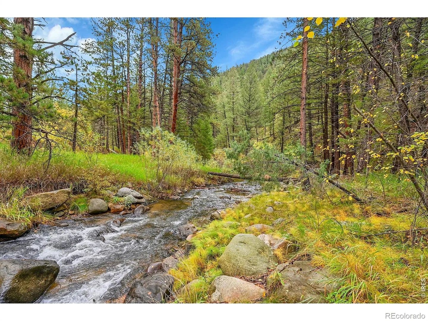 Property from 5567 Lefthand Canyon Drive - KW - Jamestown, Colorado, 80455