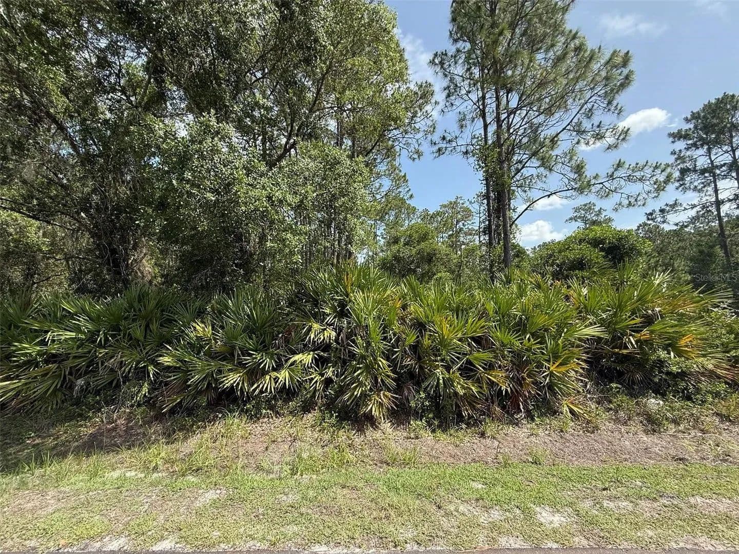 0.34 Acres of Land for Sale in Palatka, Florida - Palatka, Florida, 32177