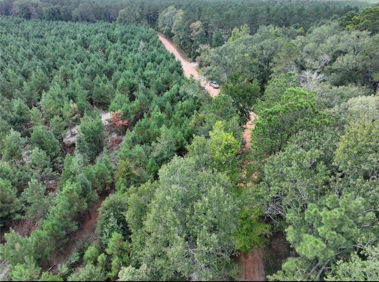 2 Acres of Land for Sale in Livingston, Texas - Livingston, Texas, 77351