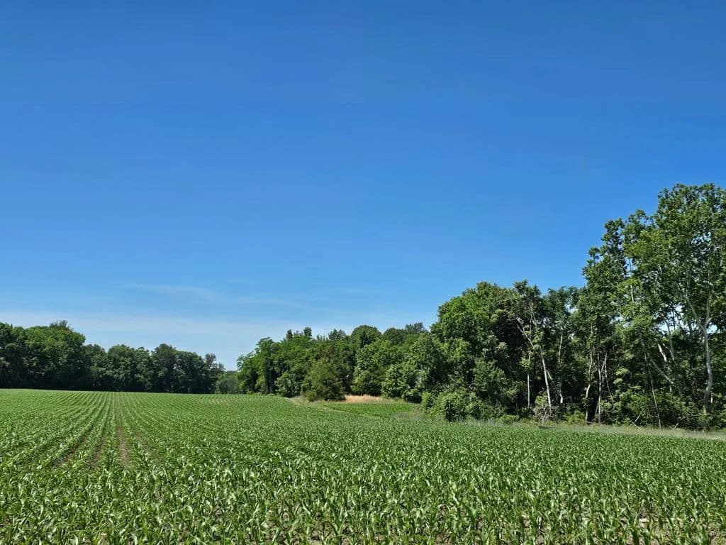 Property from 710 Pea Ridge Ln - KW - Warsaw, Virginia, 22572