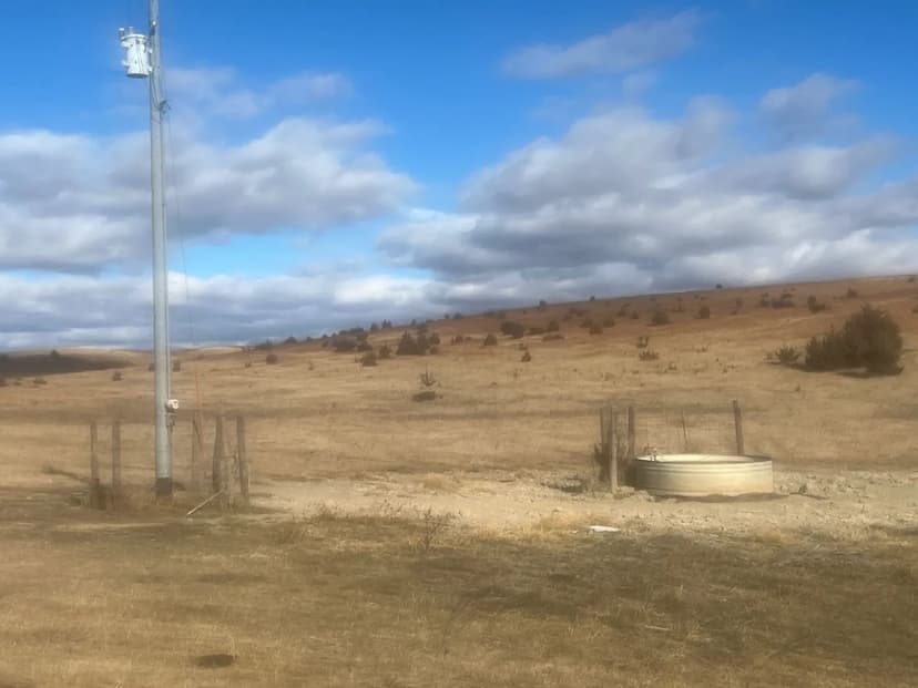 Dierberger Rangeland - Valley County