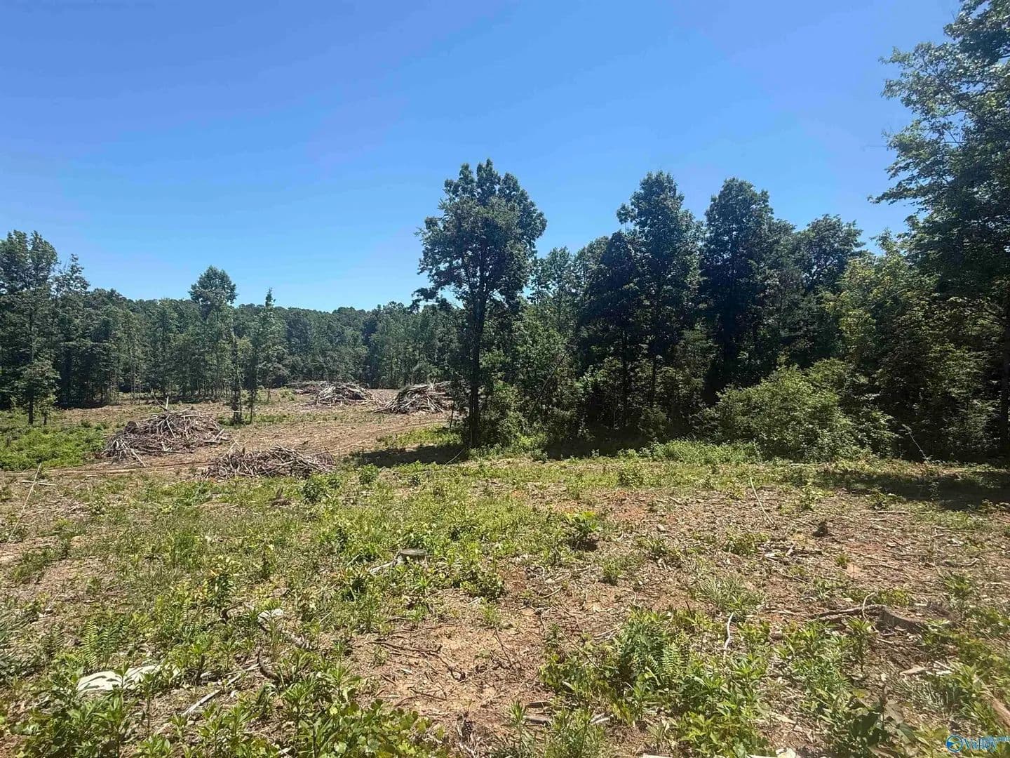6 Acres of Land for Sale in Grant, Alabama - Grant, Alabama, 35747