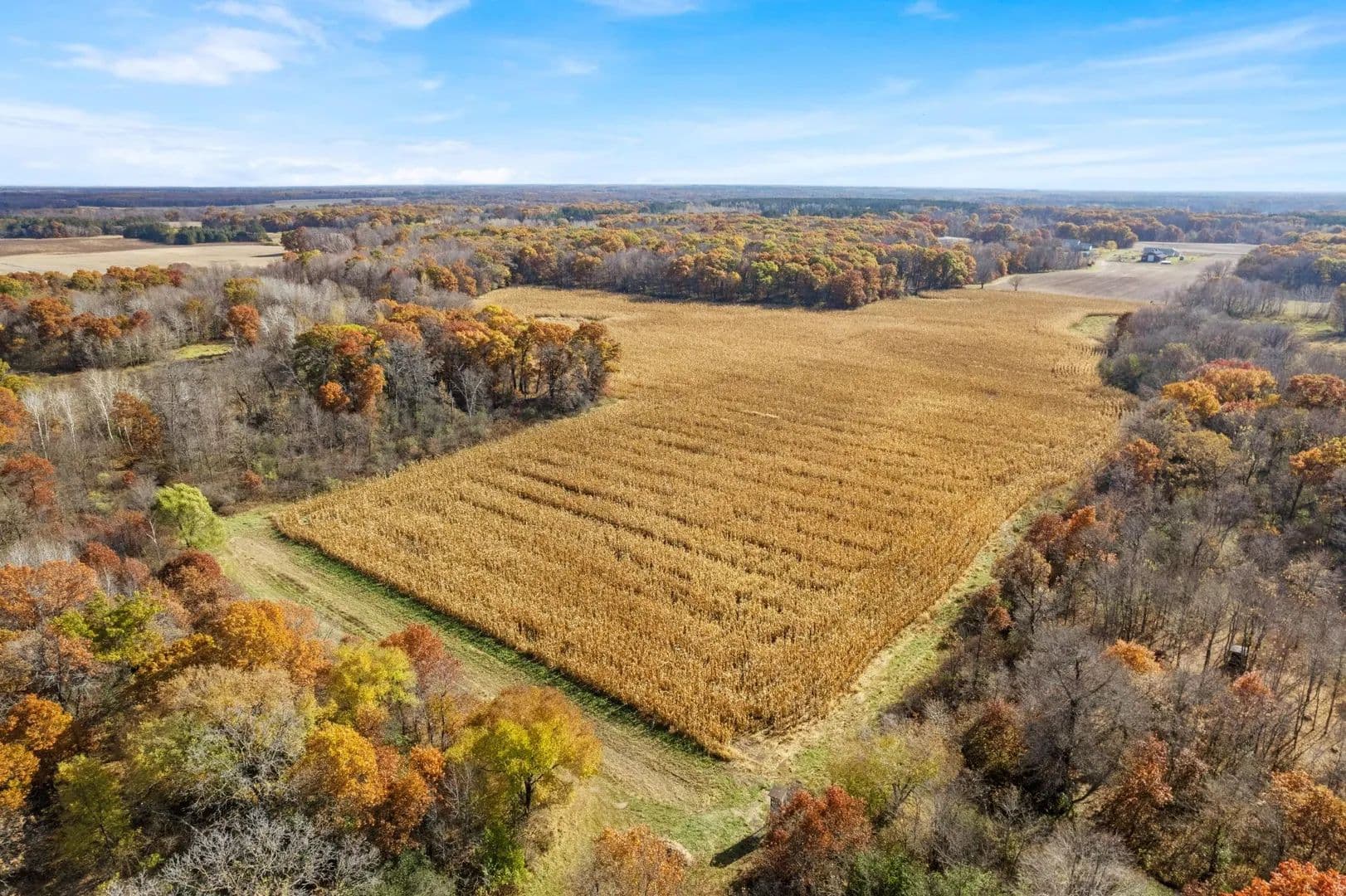 Property from 71xxx 165th Avenue SE - KW - , Minnesota, 55308