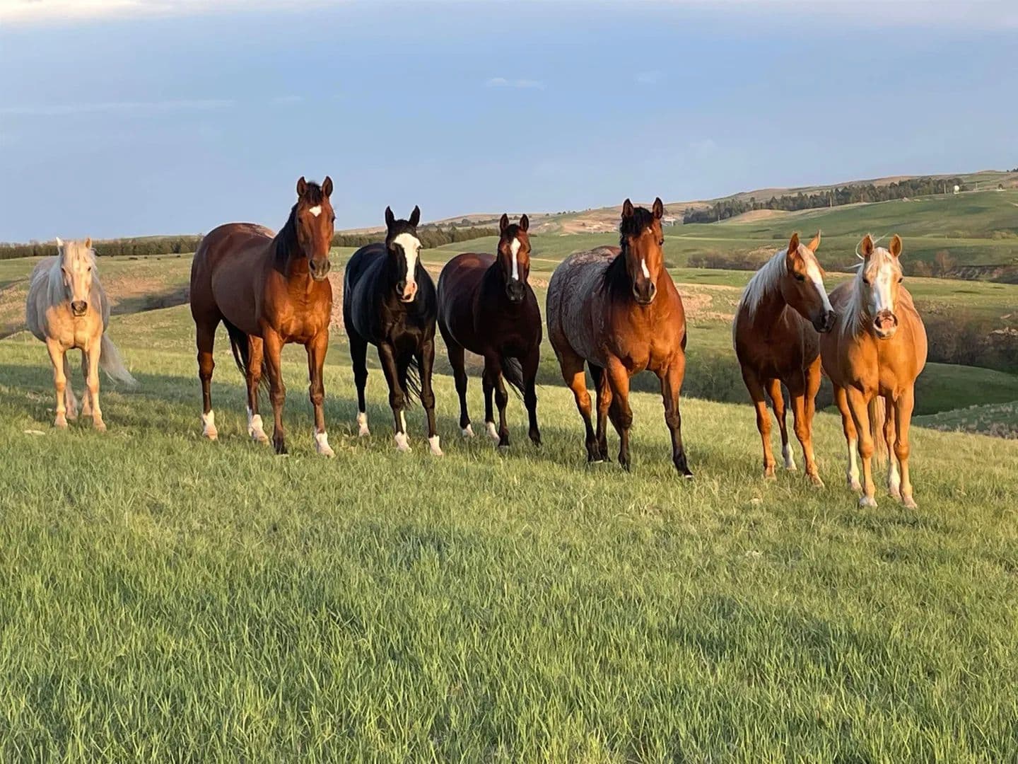 960 Acres of Land for Sale in Martin, SD - Martin, South Dakota, 57551