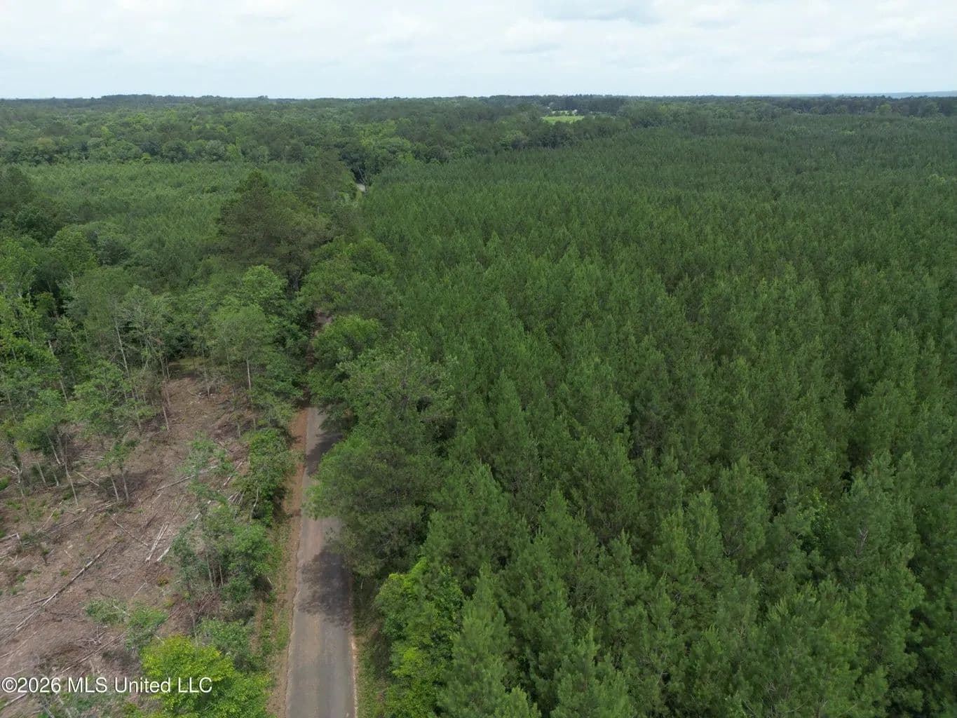 70+- Acres of Plantation Pines Pike County MS - Mccomb, Mississippi, 39648