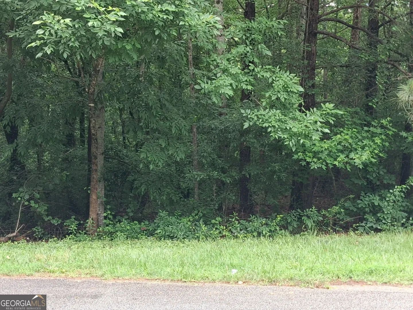 0.62 Acres of Land for Sale in Temple, Georgia - Temple, Georgia, 30179