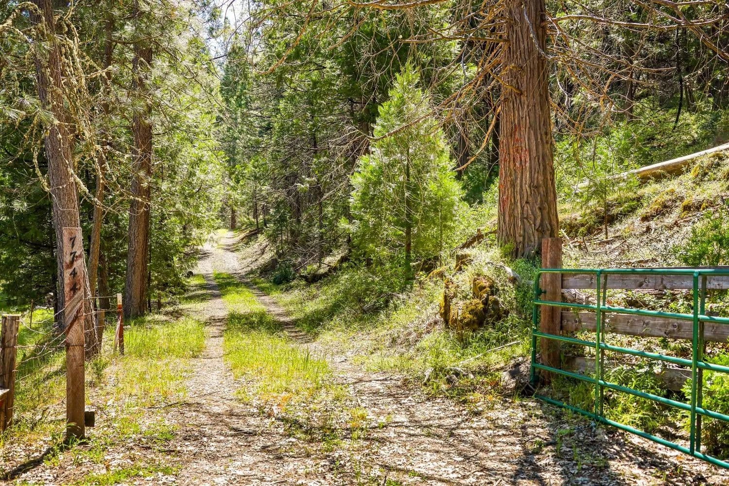 Property from 7698 Swiss Ranch Road - KW - Mountain Ranch, California, 95246