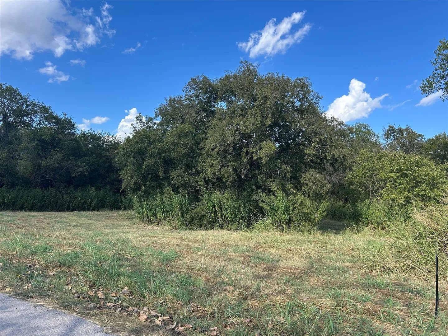Property from 301 Inez Hardy Way - KW - Grandview, Texas, 76050