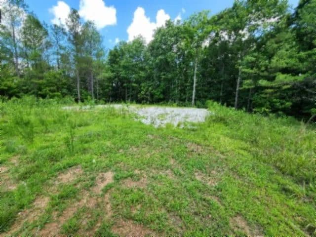15.43 AC – CREEKS – UTILITIES INSTALLED – BUILDING SITE IMPROVED – PRIVATE & SECLUDED IN MOUNTAIN COUNTRY OF TN - Sunbright, Tennessee, 37872