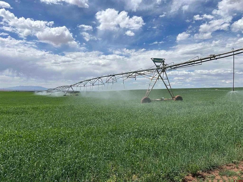 Property from TBD Road 15 - KW - Cahone, Colorado, 81320