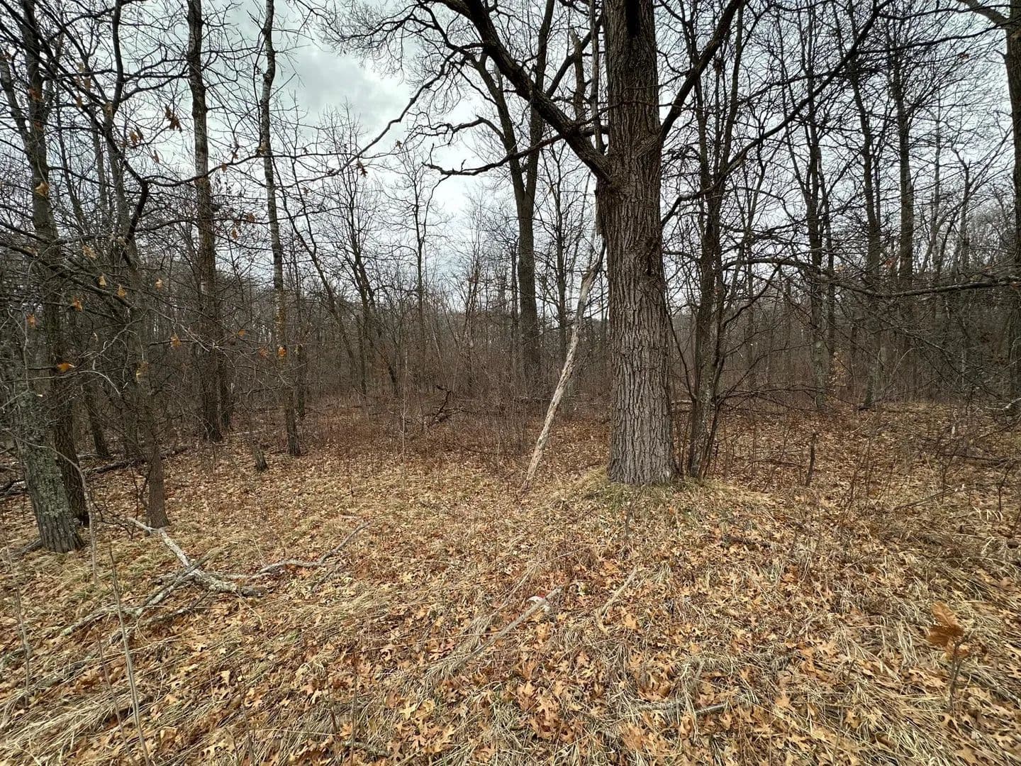 Vacant Land in Breezy Point - Breezy Point, Minnesota, 56472