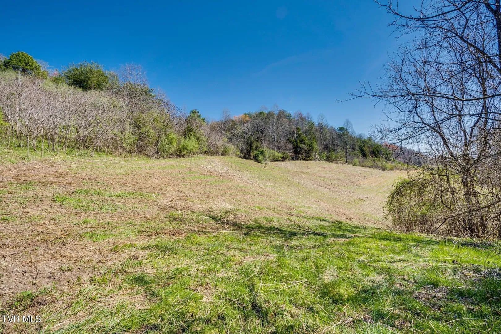 55.57 Acres of Land for Sale in Gate City, VA - Gate City, Virginia, 24251