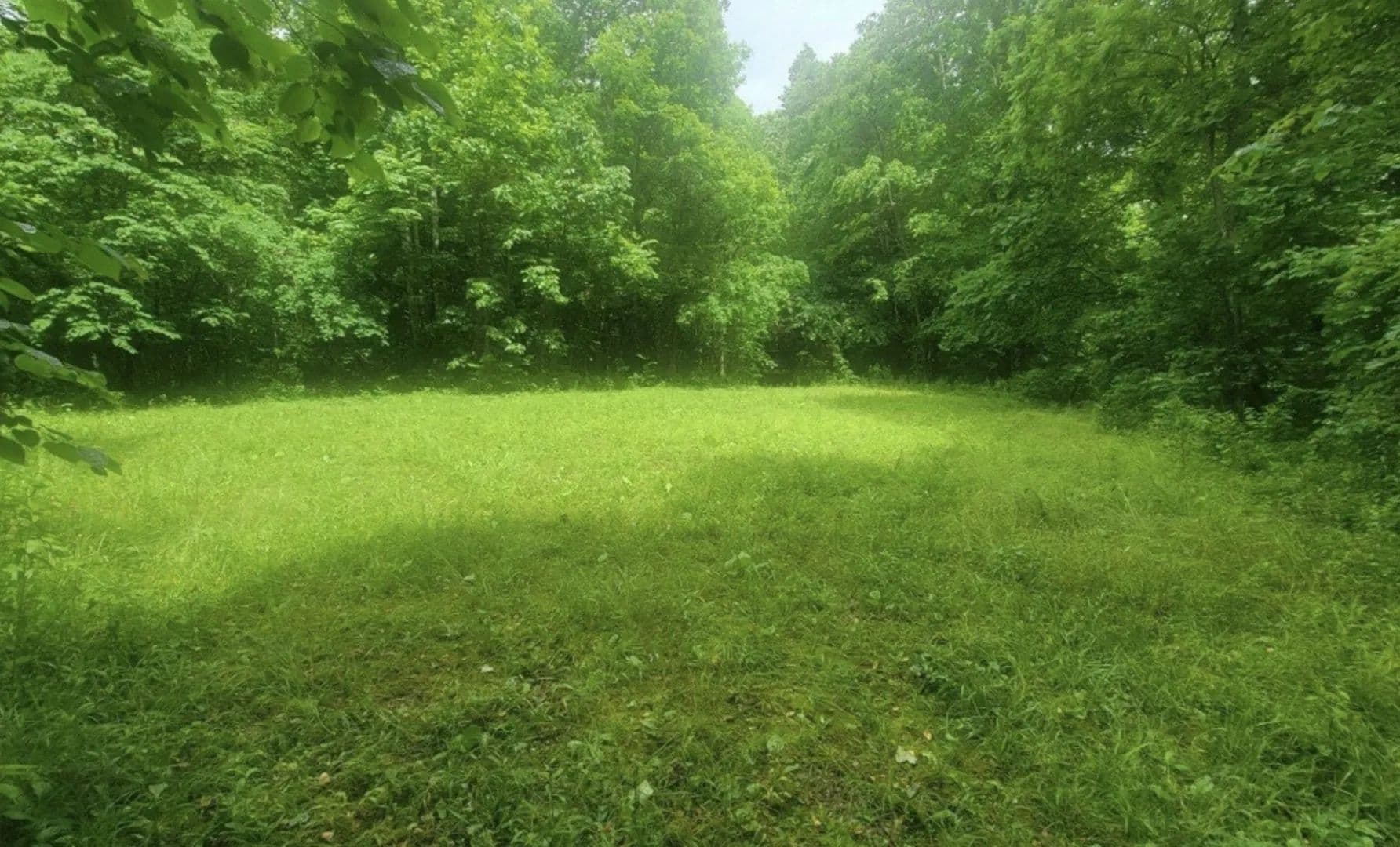 Lots & Land-Other in Lafayette - Lafayette, Tennessee, 37083