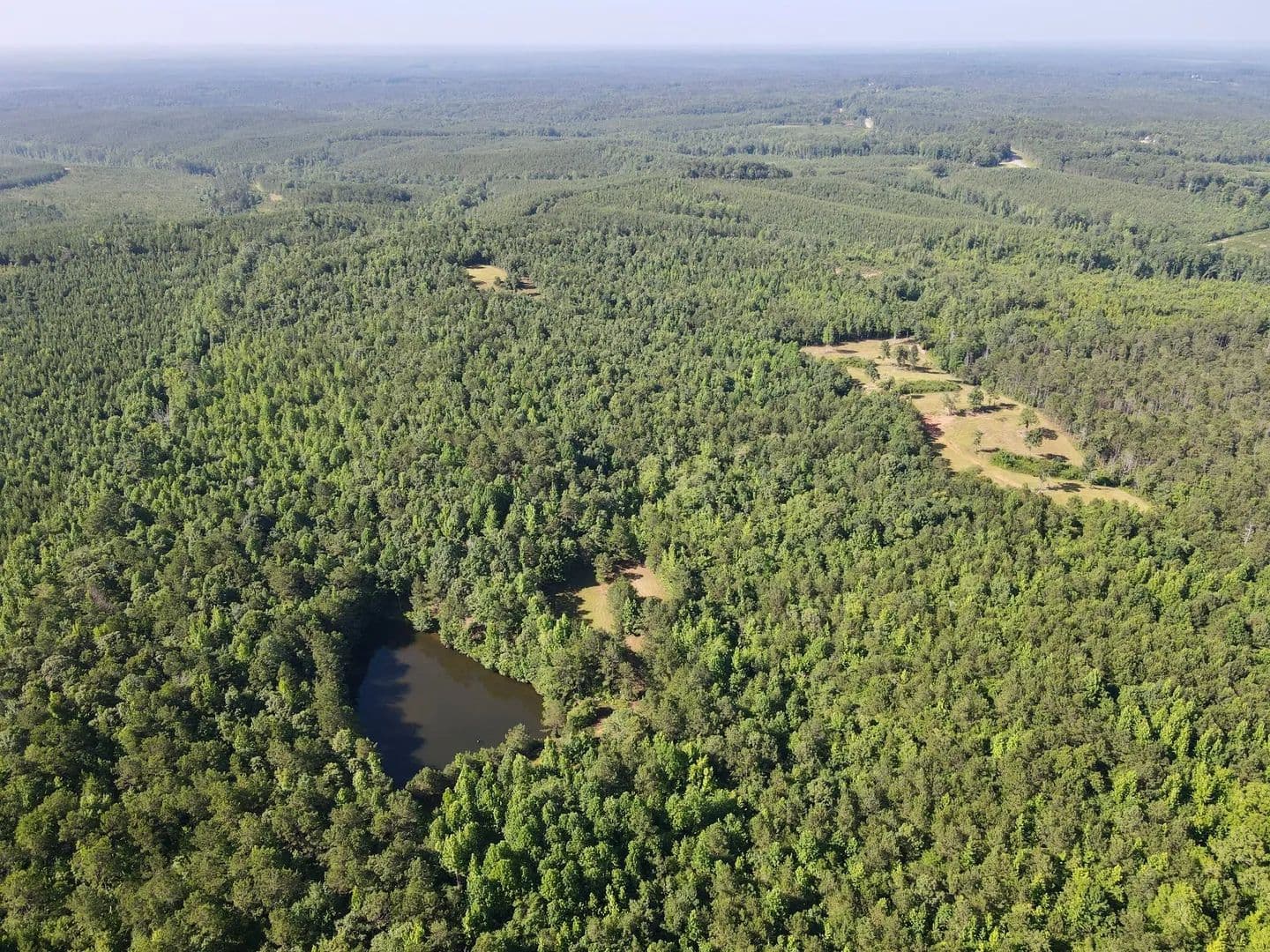 Ridge Road Hunting & Recreation Tract – 88± Acres - Cragford, Alabama, 36255