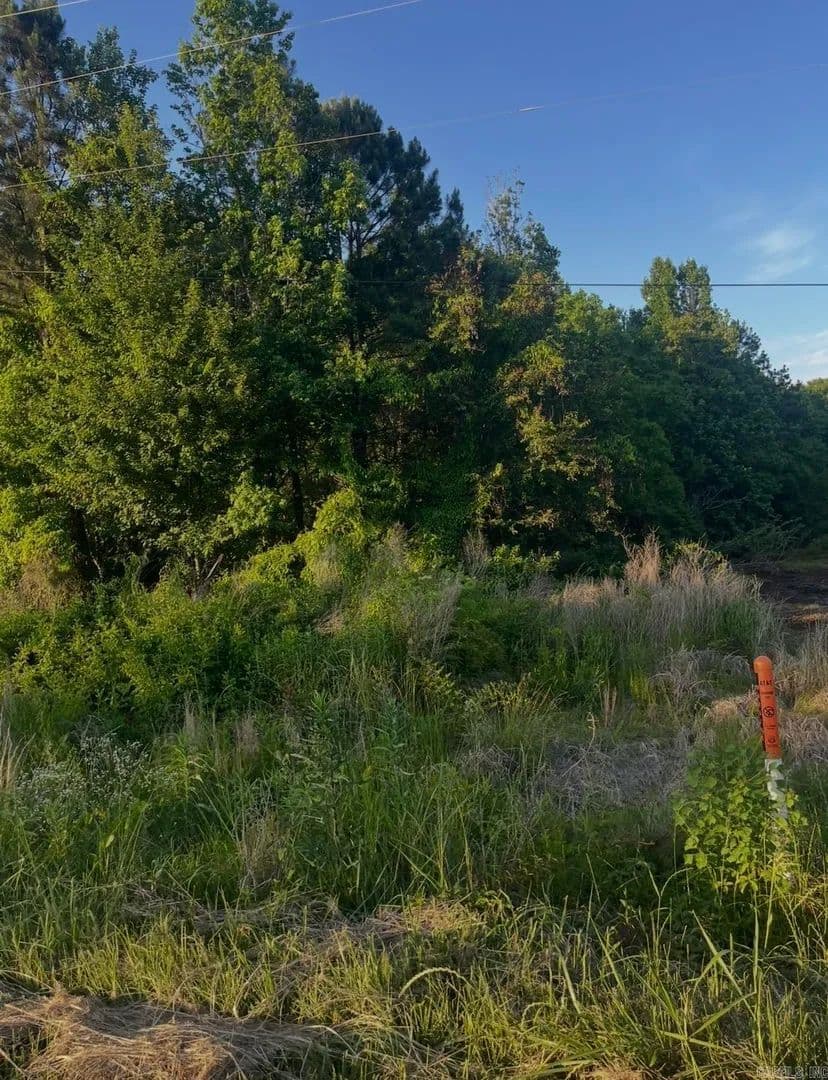 Property from Lot 87 Parkwood - KW - Monticello, Arkansas, 71655