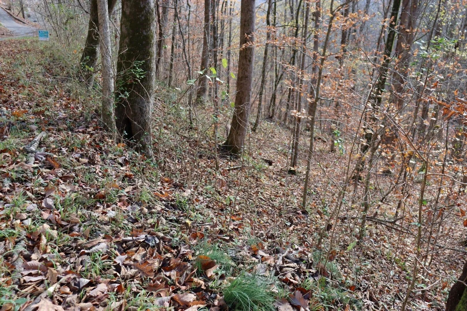 Lots & Land-Other in Smithville - land for sale