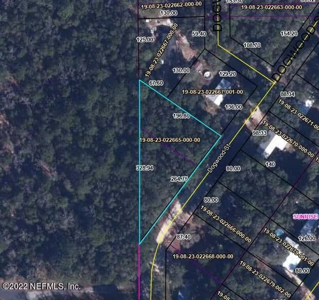 Property from 0 DOGWOOD Street - KW - Keystone Heights, Florida, 32656