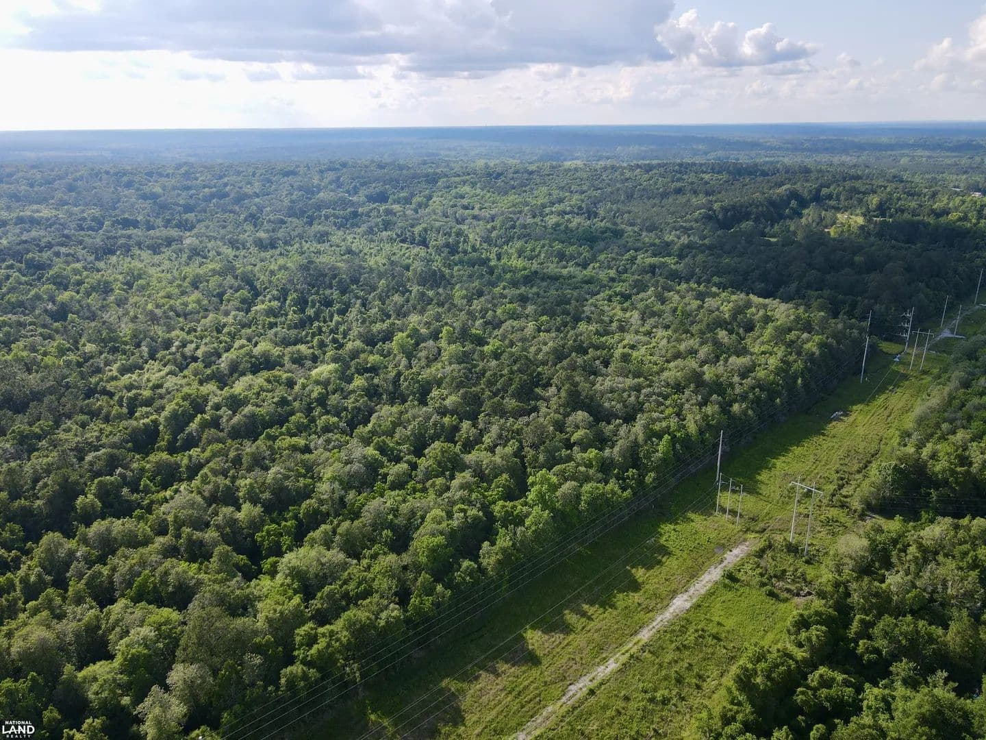 Wolfridge Road Development or Homesite with Acreage - Mobile, Alabama, 36618