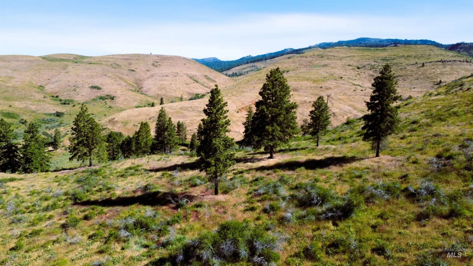 54.11 Acres of Land for Sale in Cambridge, ID - Cambridge, Idaho, 83610
