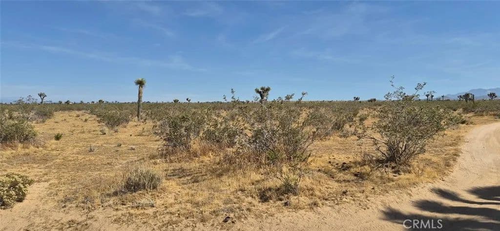 Property from 1 La Mesa Road - KW - Phelan, California, 92371