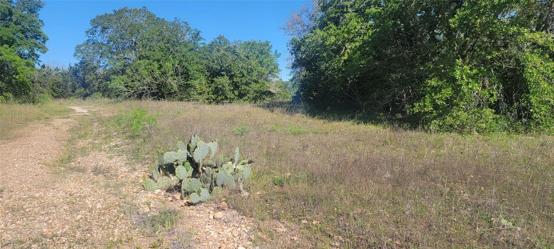 3.98 Acres of Land for Sale in Bastrop, TX - Bastrop, Texas, 78602