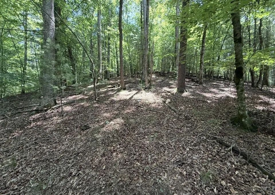 Property from Lot 2607 Magnet Court - KW - Ellijay, Georgia, 30540