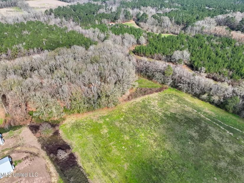 34 Acres in Amite County MS Near McComb & Lake Okhissa