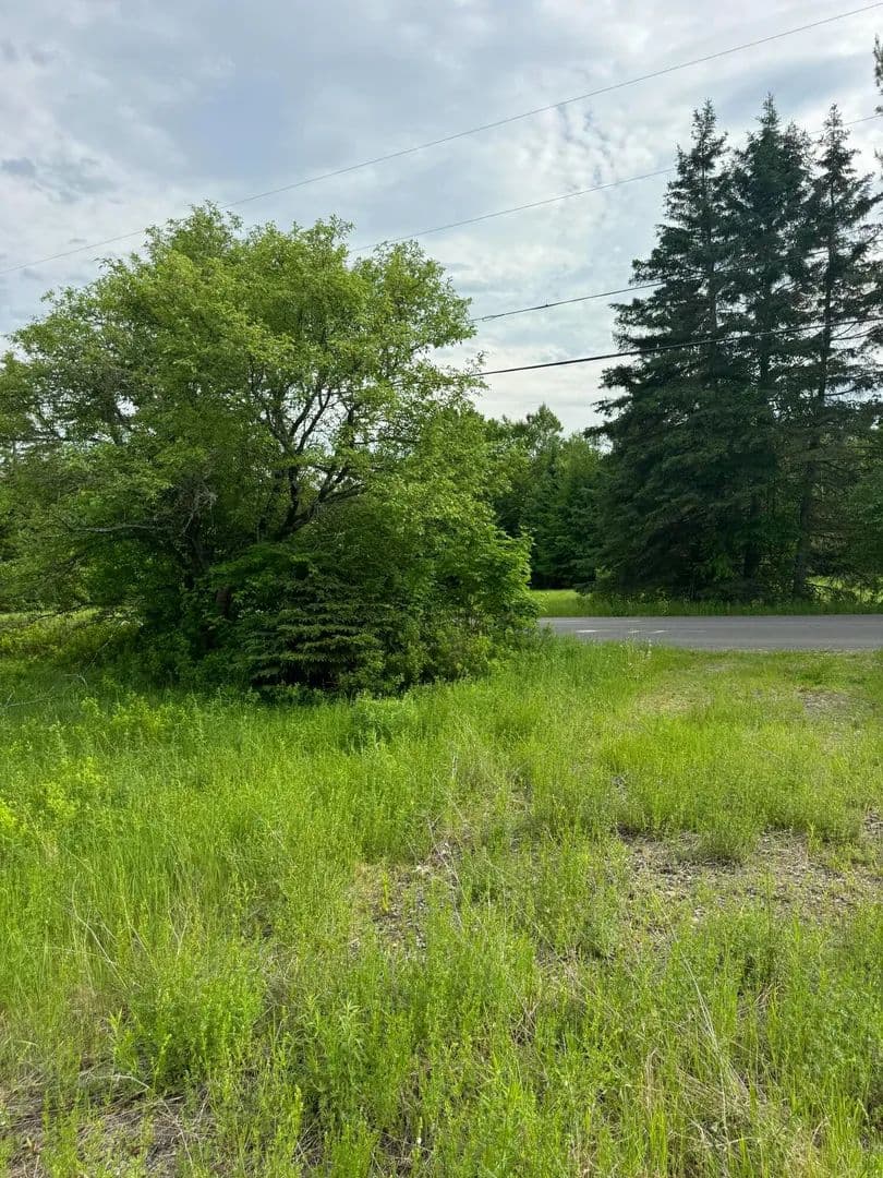 1 Acre of Land for Sale in Orient, ME - Orient, Maine, 04471