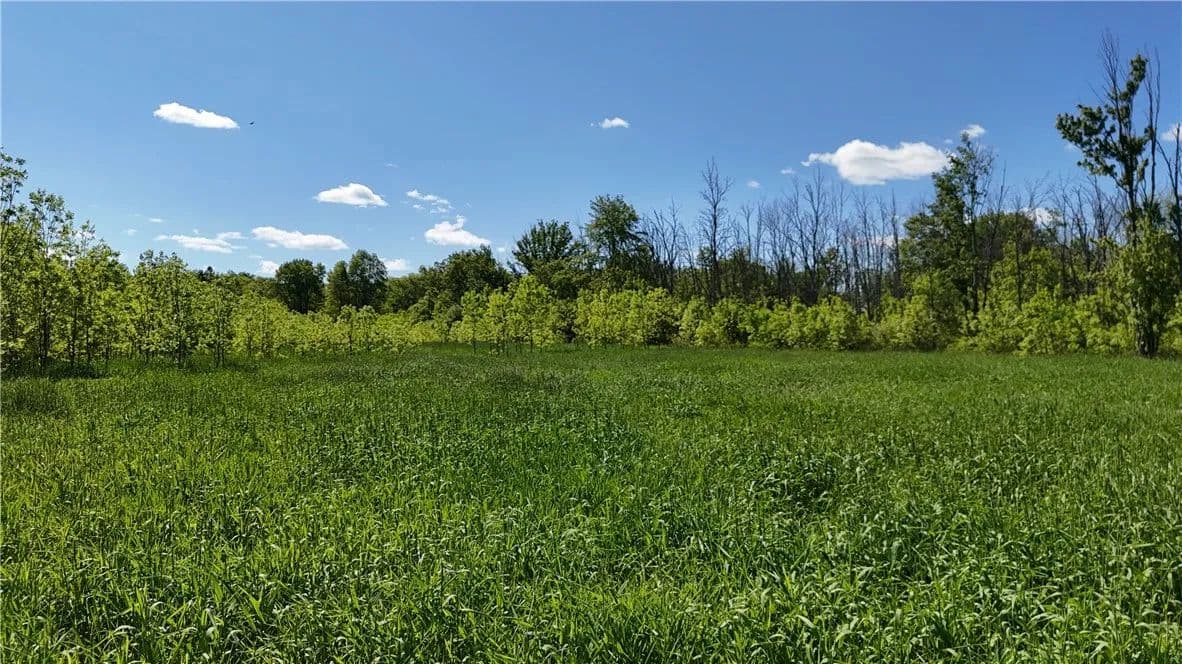 Property from Dredge Ditch Road - KW - Conewango Valley, New York, 14726