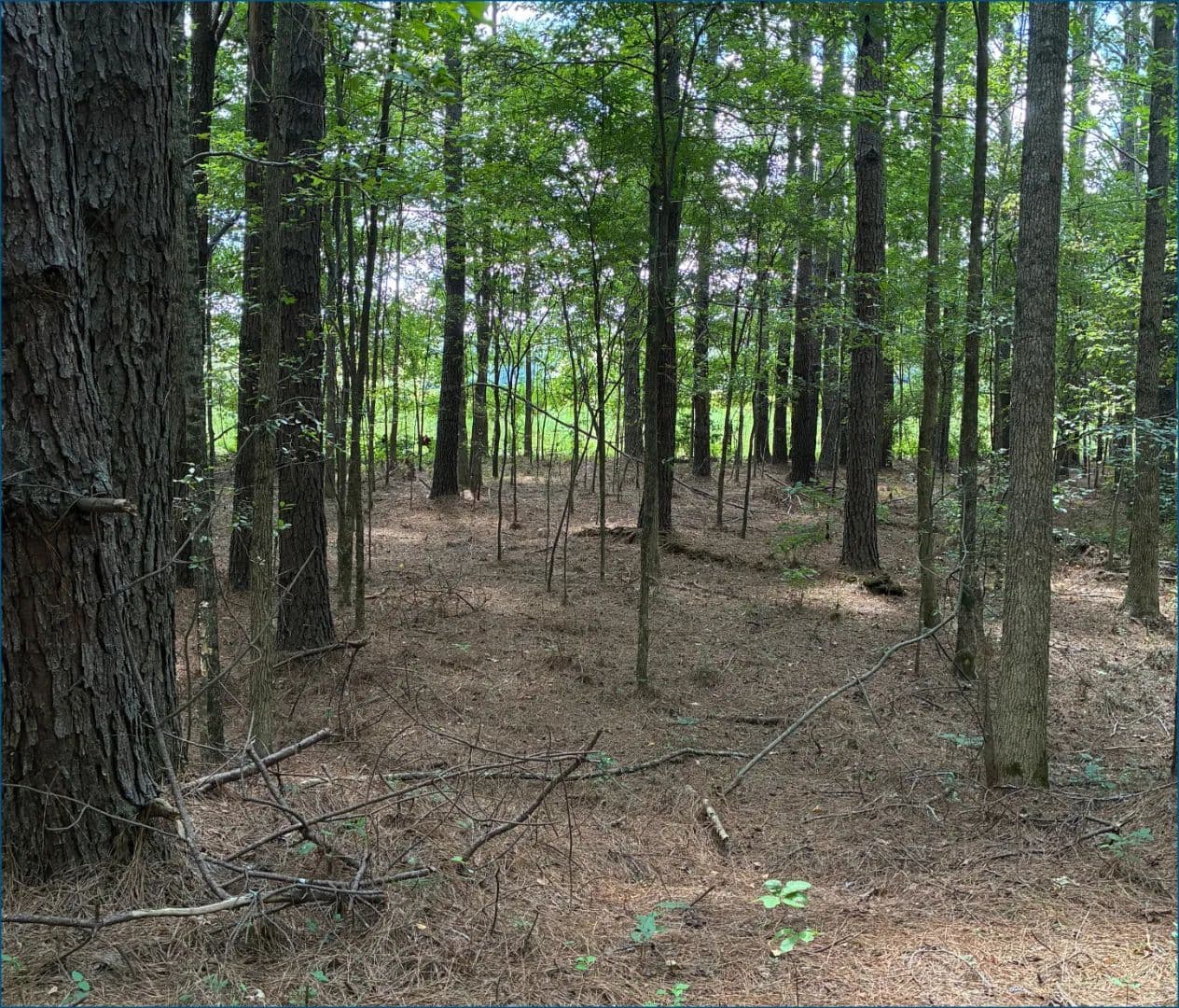 8.4 Acres in Choctaw County in Ackerman, MS - Ackerman, Mississippi, 39735