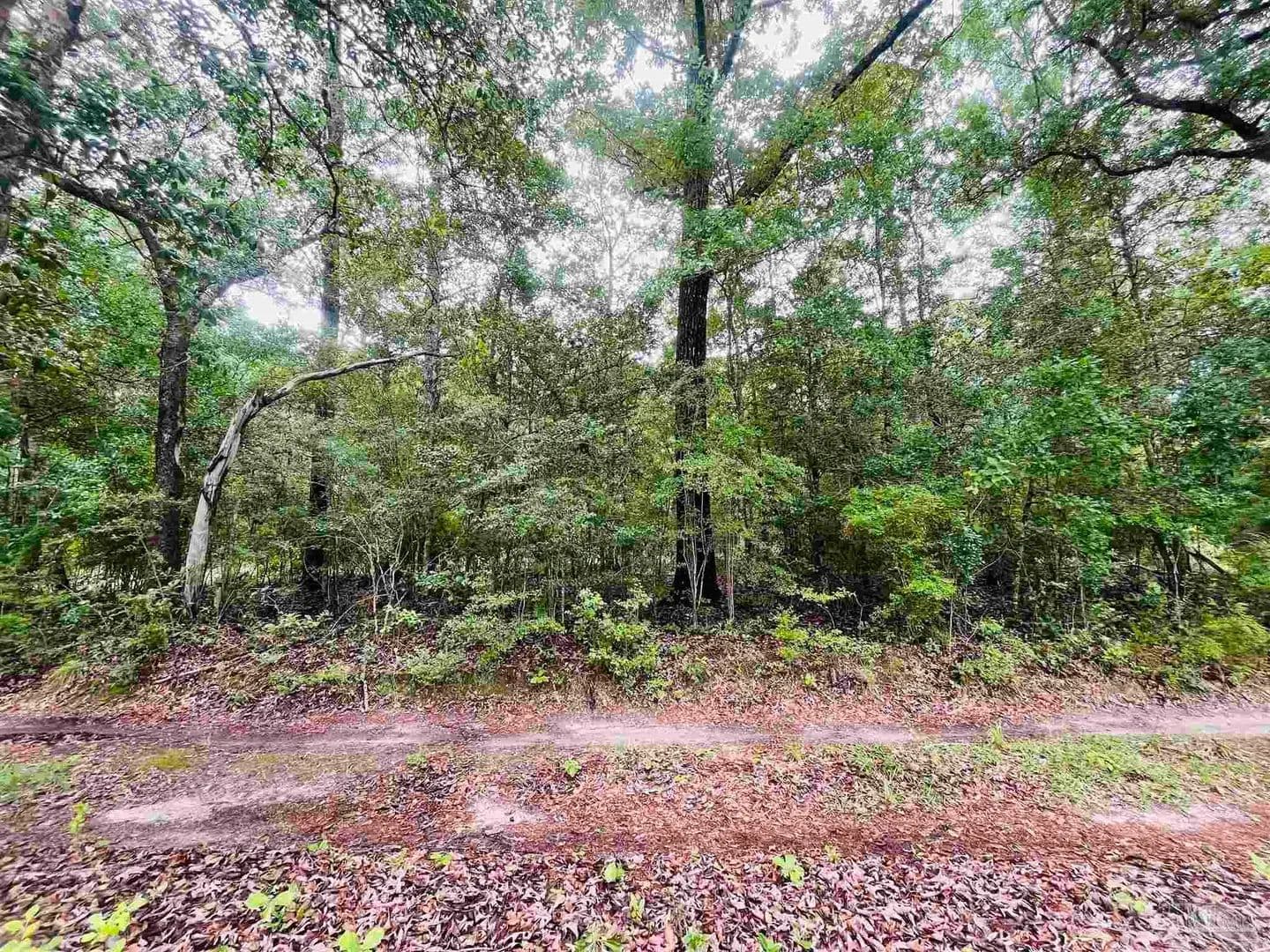 Property from 1234 Hutto Parker Rd - KW - Milton, Florida, 32564
