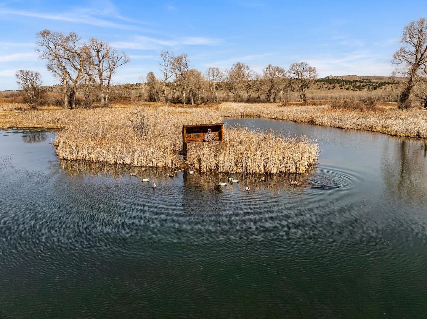 Mallard Springs Ranch - land for sale