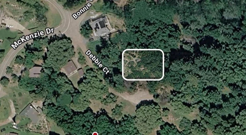 Vacant Land in Pioneer - Pioneer, California, 95666