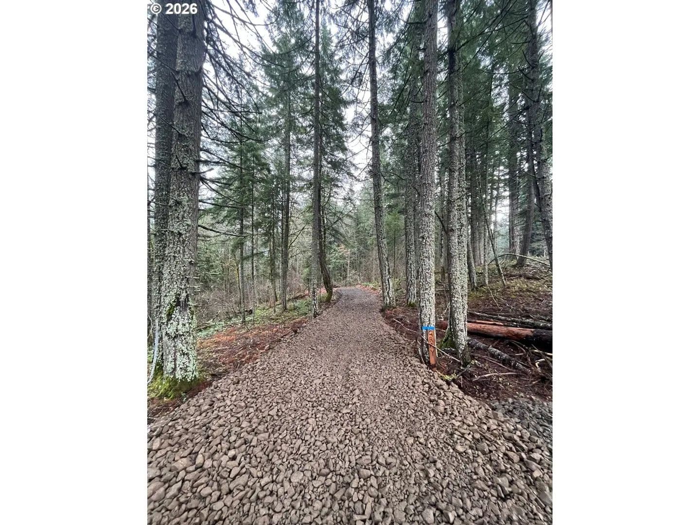 Property from 7091 Little Buck Creek Rd - KW - White Salmon, Washington, 98672