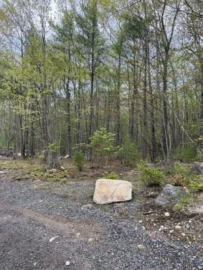 Vacant Land in Alfred - Alfred, Maine, 04002