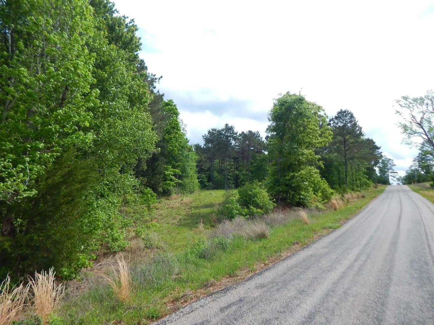 Vacant Land in Diana - Diana, Texas, 75640