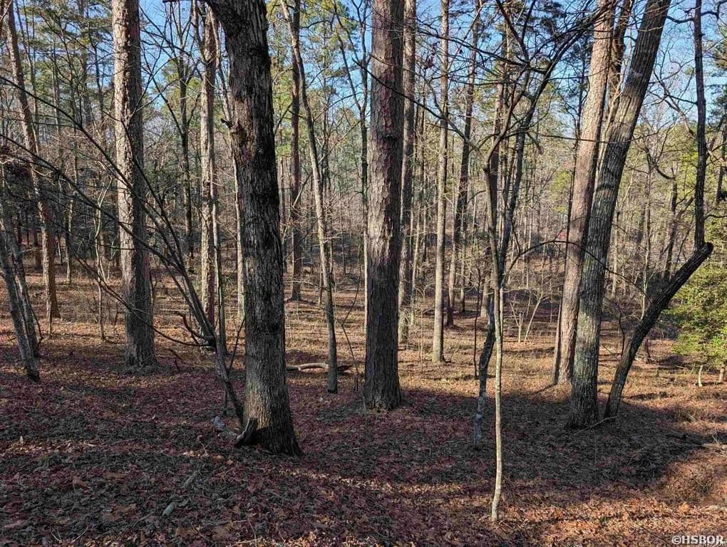 Property from 30 MONTIJO Way - KW - Hot Springs Village, Arkansas, 71909