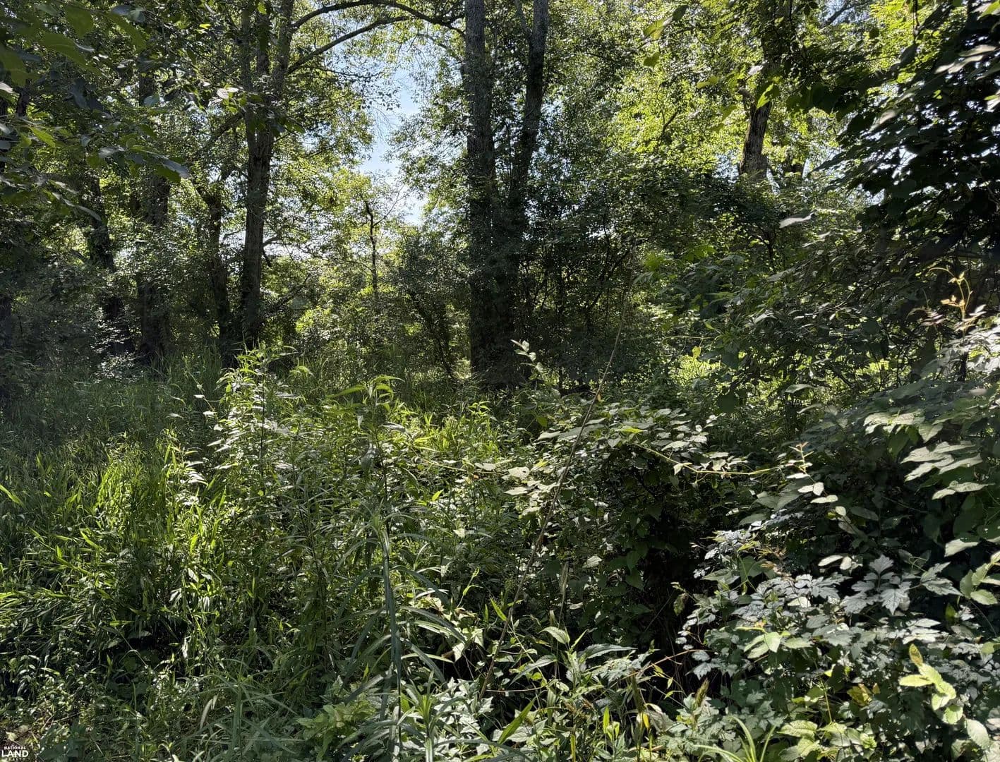 Nice 41.3 ac acres Residential/ Business/Hunting Tract Near Meta Site - Delhi, Louisiana, 71232