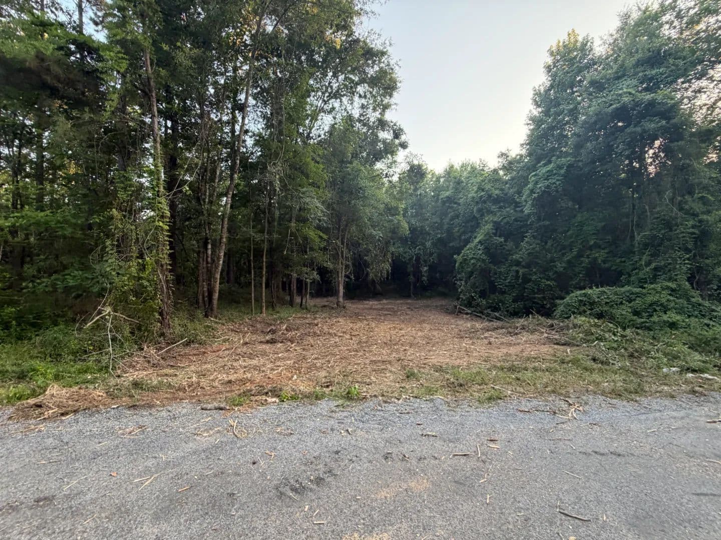 16 Acres in Lincoln County, MS - Brookhaven, Mississippi, 39601