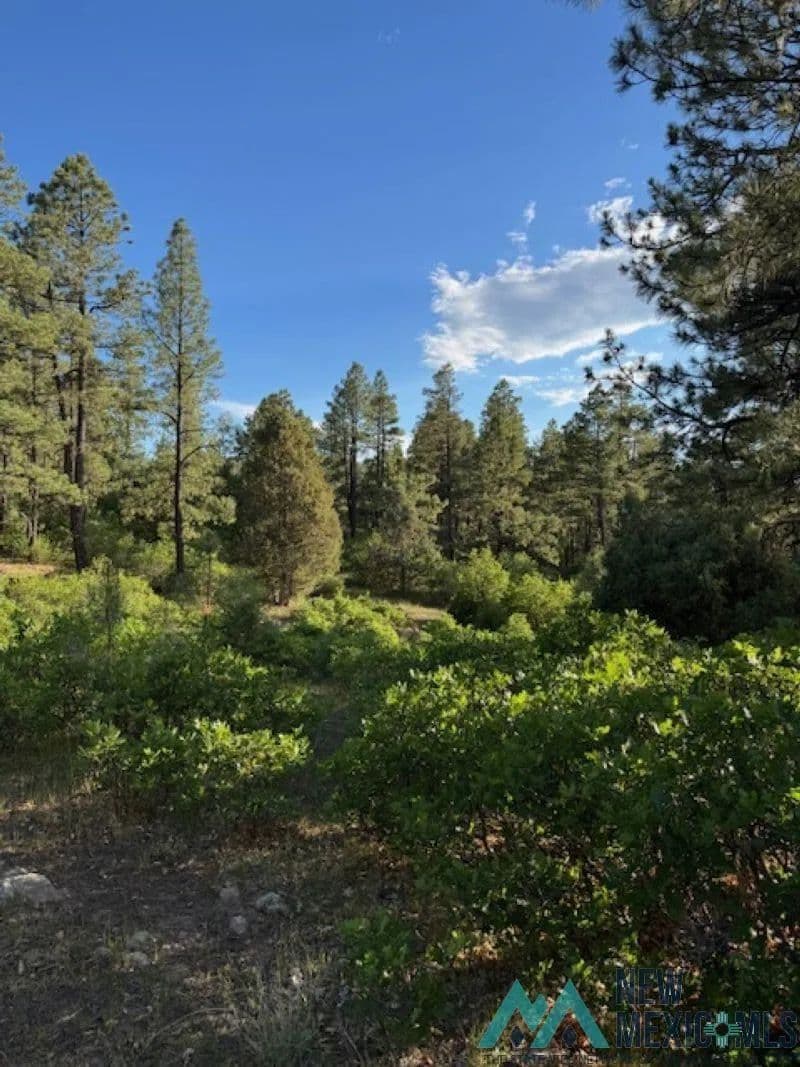 Property from TBD Eagles 2a Road - KW - Chama, New Mexico, 87520