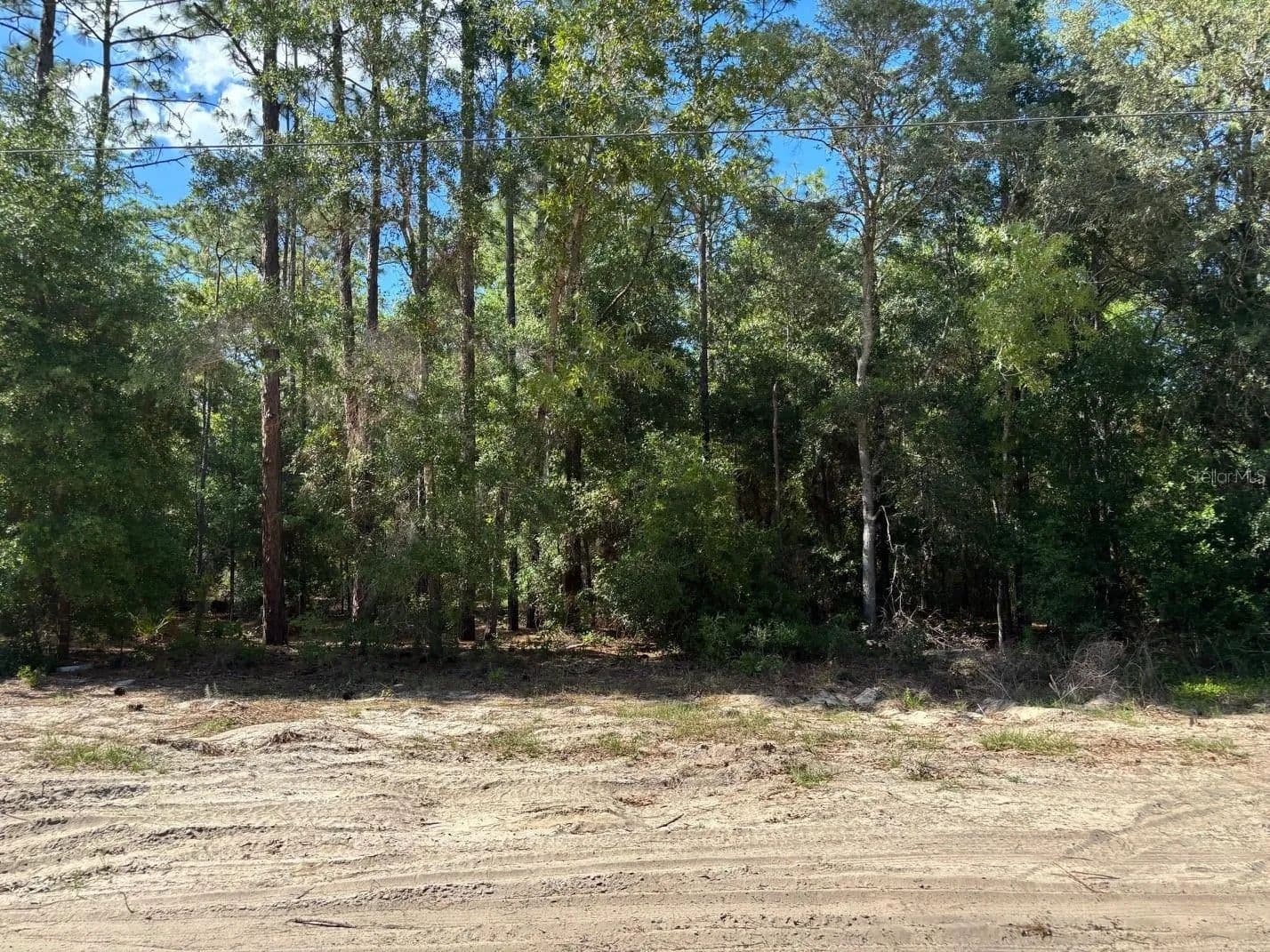 Property from 0A SW 93RD PLACE - KW - Dunnellon, Florida, 34432
