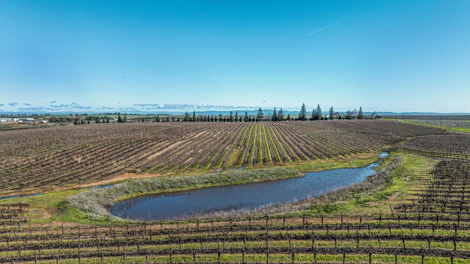 39.86 Acres of Land for Sale in Lodi, California - Lodi, California, 95240