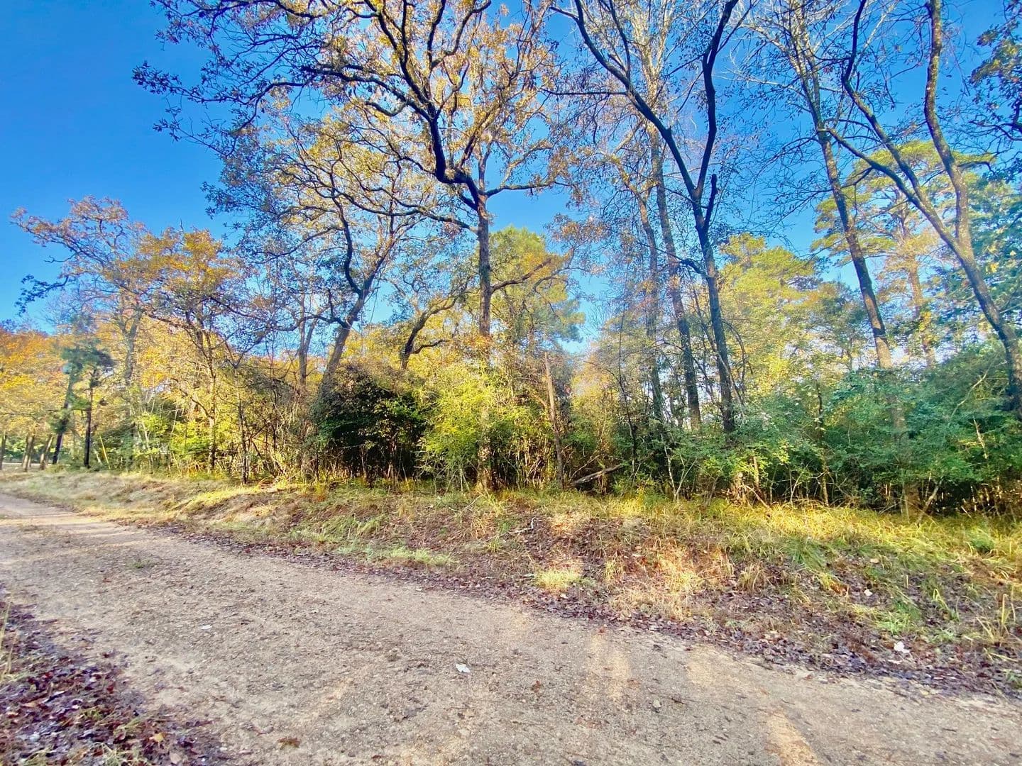 Property from TBD Lakeview Circle - KW - Crockett, Texas, 75835