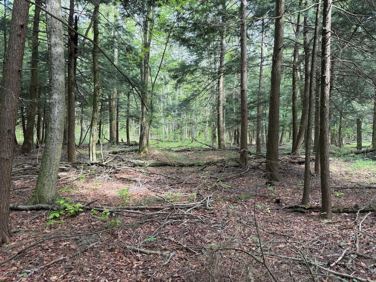 7.5 acres Recreational Property in South Dayton NY Kellogg Hill Rd Lot 8 - South Dayton, New York, 14138