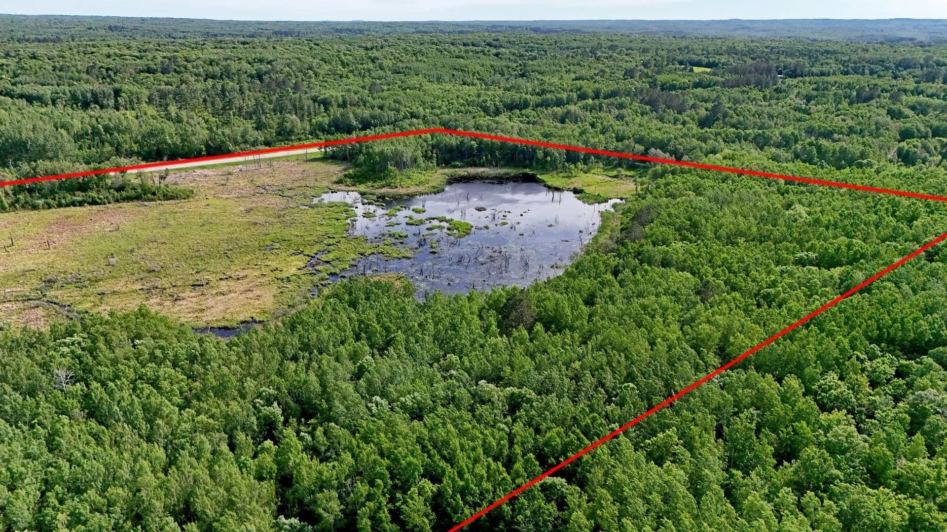 40 Acres of Land for Sale in Bagley, MN - Bagley, Minnesota, 56621