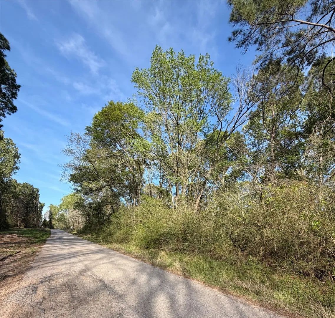4 Acres of Land for Sale in Coldspring, Texas - Coldspring, Texas, 77331