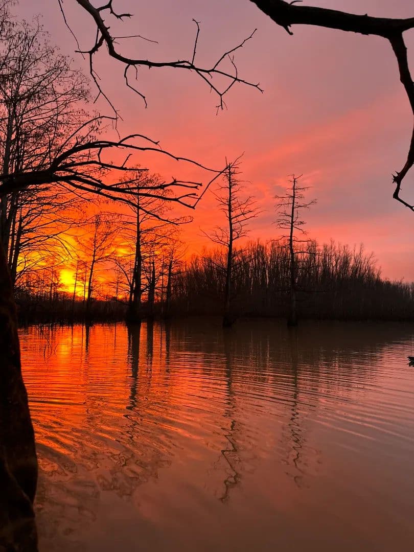 One Equity Share with a Cabin at Coles Creek Timber and Land in Jefferson County, MS - Natchez, Mississippi, 39096