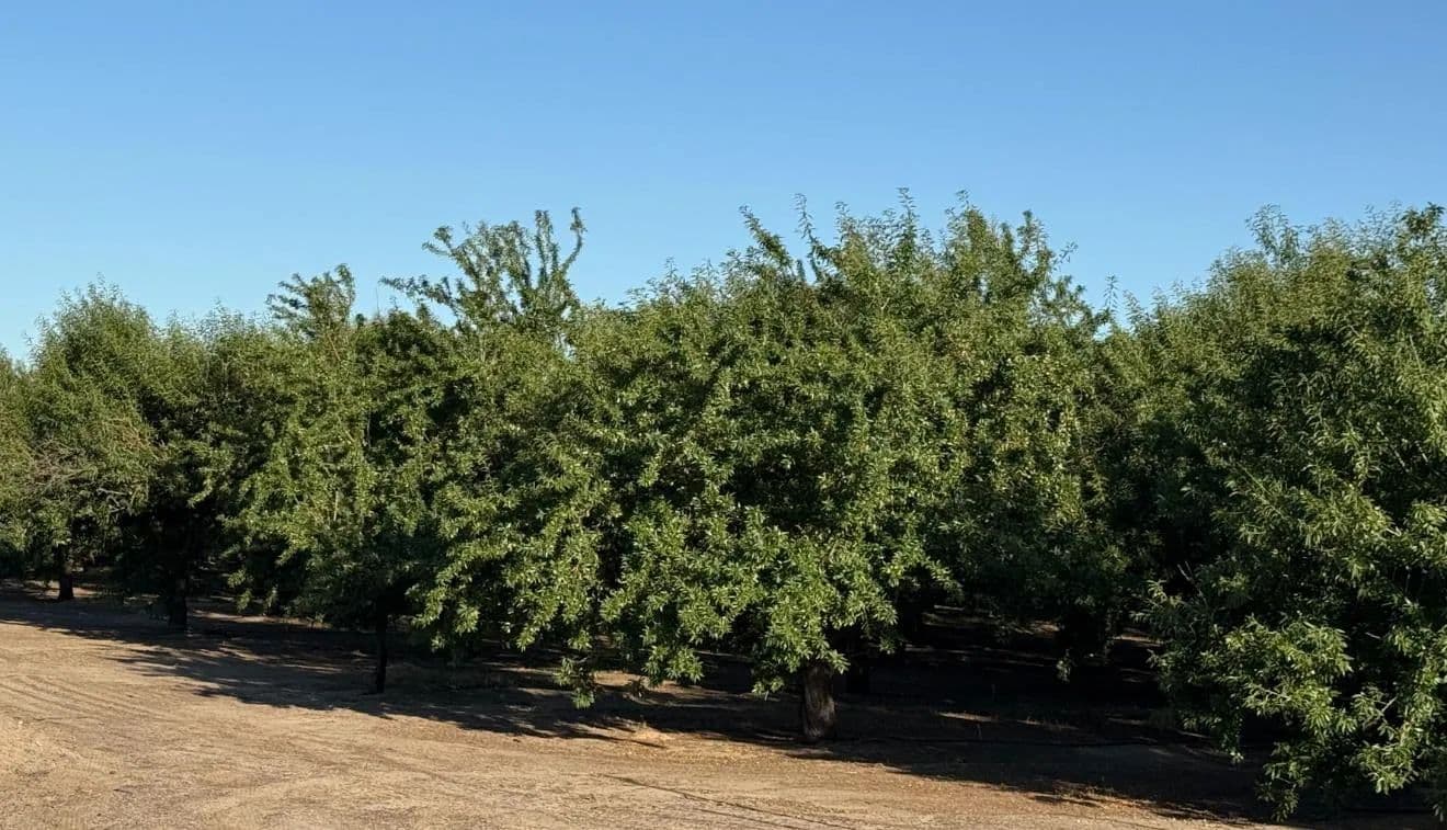 Property from 2700 North Avenue - KW - Modesto, California, 95358
