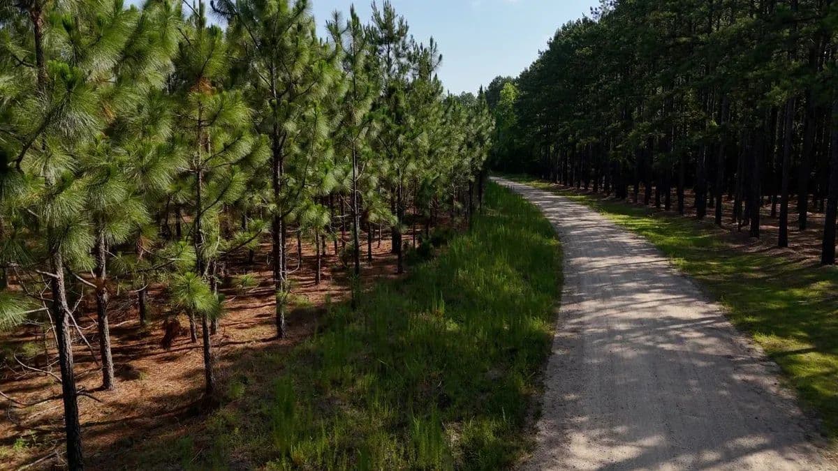 Longleaf Mecca Tract - land for sale