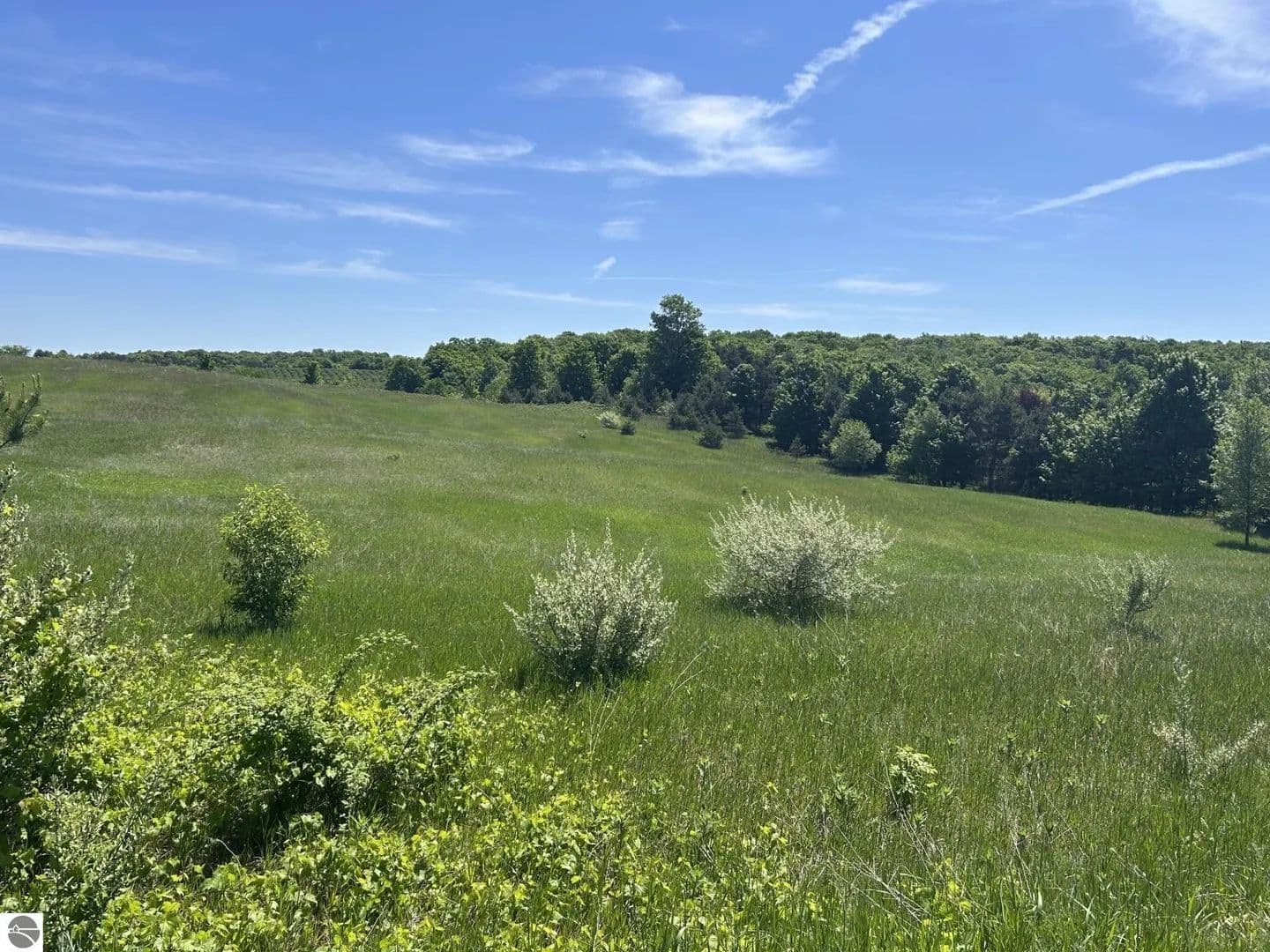 10.03 Acres of Land for Sale in Suttons Bay, Michigan - Suttons Bay, Michigan, 49682